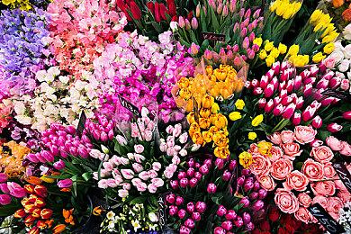 R星动画副总裁：《GTA》新作将会别出心裁